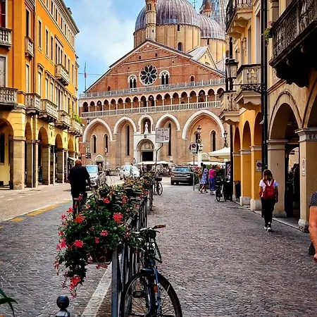 Tolle Economy * Padova