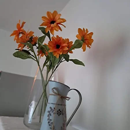 Tolle Economy Affittacamere Padova